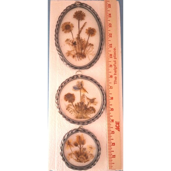 VTG 3 Lasting Impressions Dried Flowers Under Glass Wall Window Art Framed - Picture 9 of 9